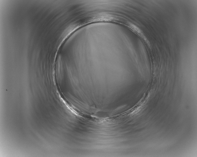 X0000061750802200512161715