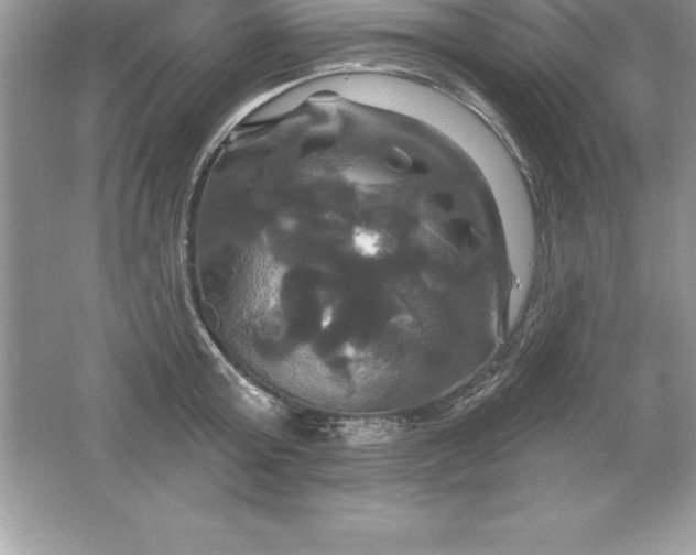 X0000061750803200512161715