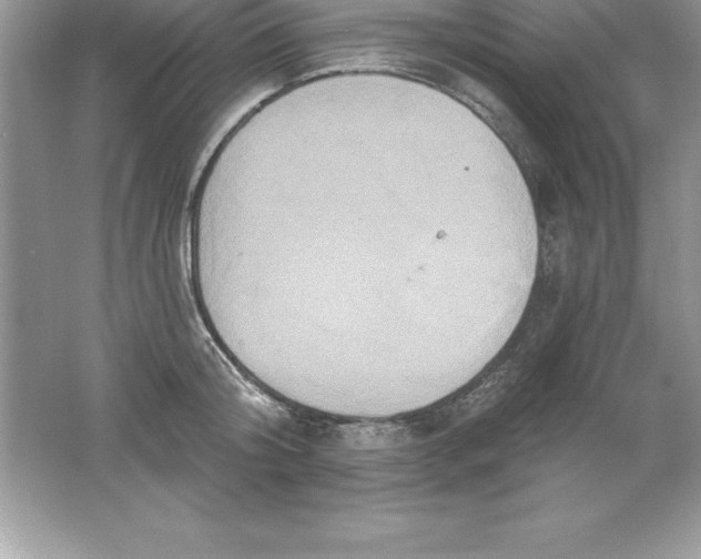 X0000061750804200512161715