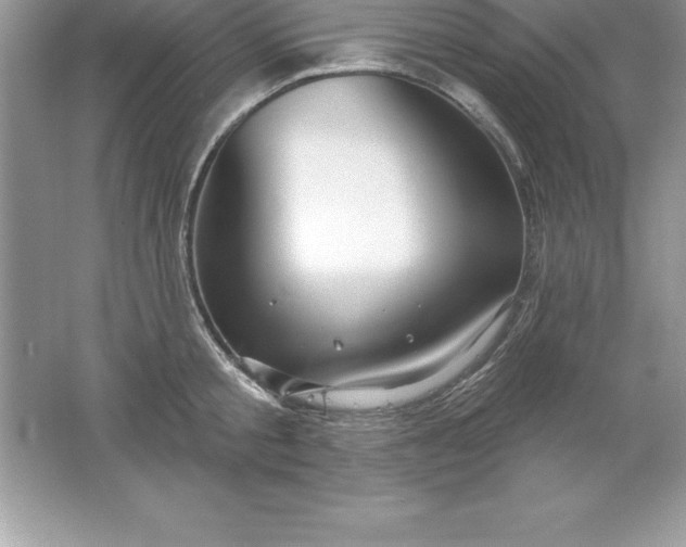 X0000061750805200512161715