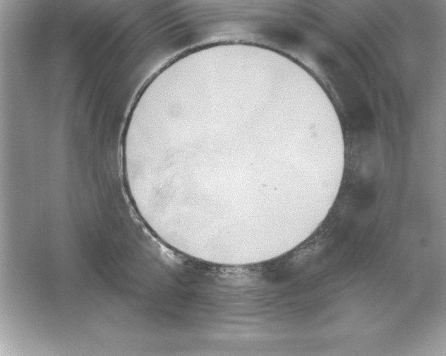 X0000061750807200512161715