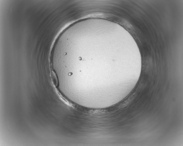 X0000061750808200512161715