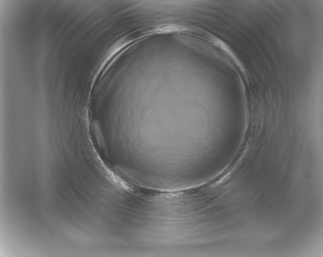 X0000061750810200512161715