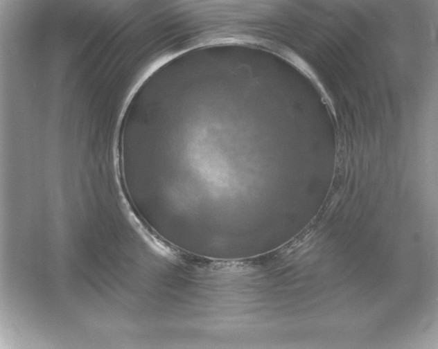 X0000061750811200512161715