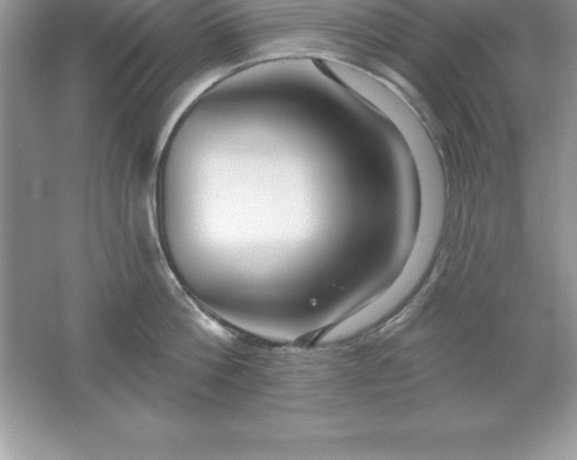 X0000061750812200512161715