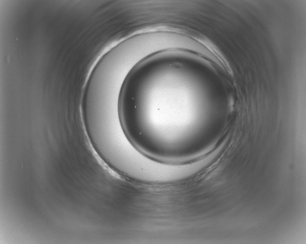 X0000061750813200512161715