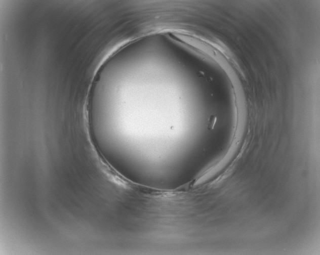 X0000061750814200512161715