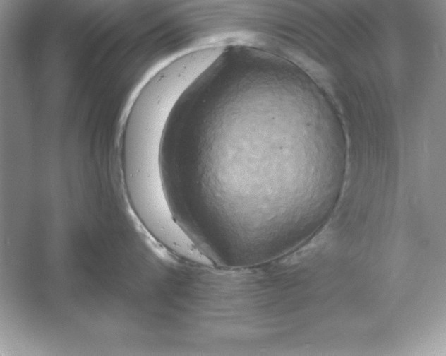 X0000061750816200512161715