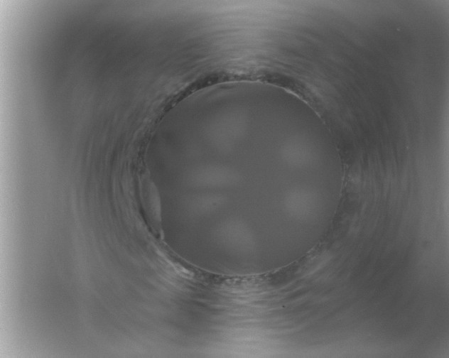 X0000061750817200512161714