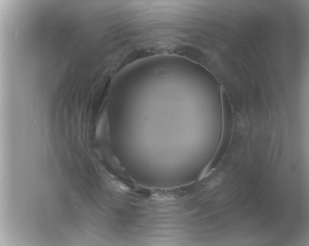 X0000061750818200512161714