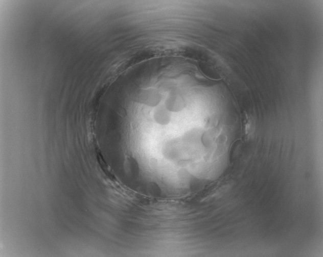 X0000061750819200512161714