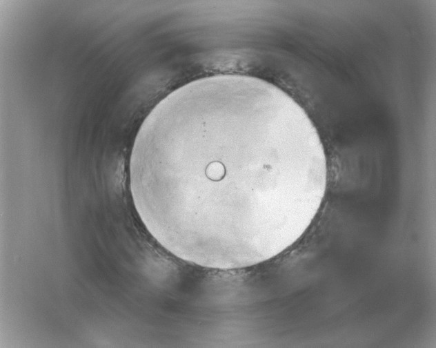 X0000061750820200512161714