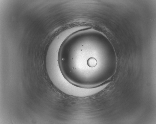 X0000061750821200512161714