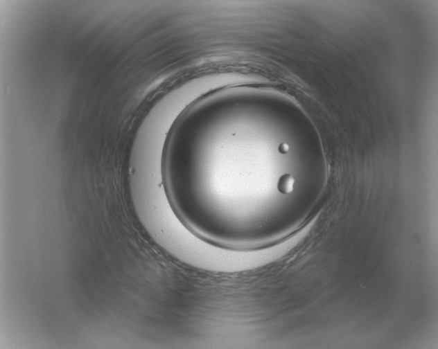 X0000061750822200512161714