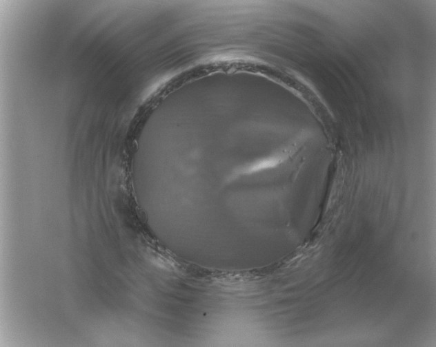 X0000061750823200512161714