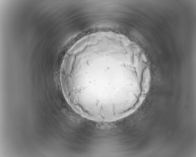 X0000061750824200512161714