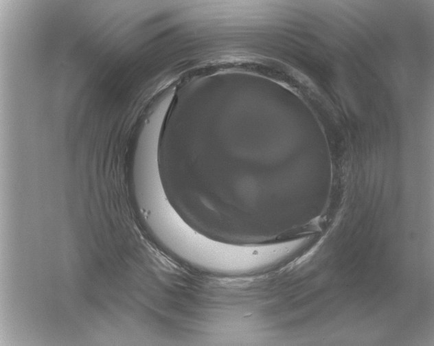 X0000061750825200512161714