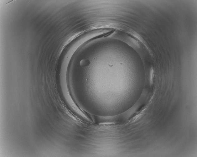 X0000061750826200512161714