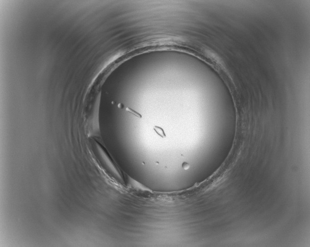 X0000061750827200512161714