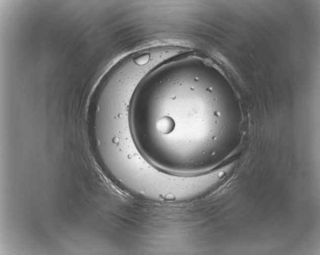 X0000061750828200512161714