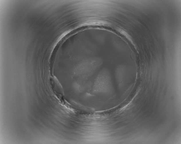 X0000061750829200512161714