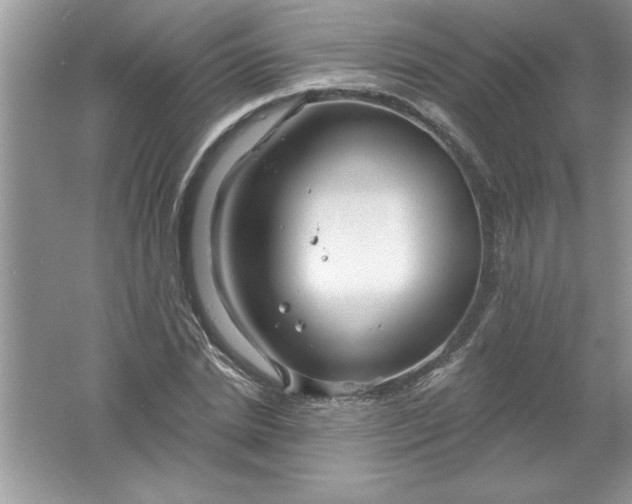 X0000061750830200512161714