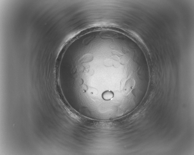 X0000061750831200512161714