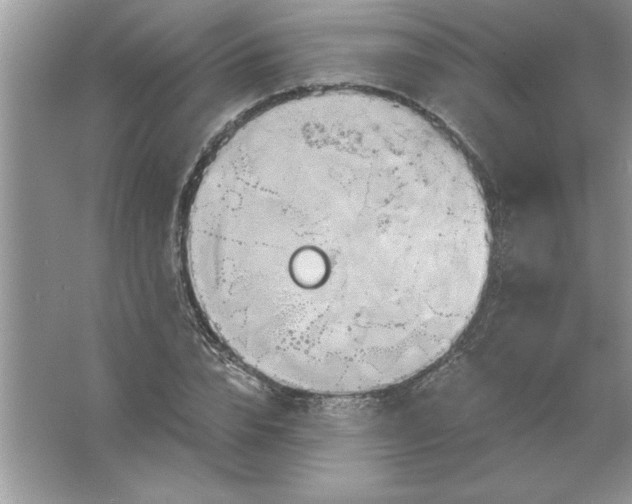 X0000061750832200512161714