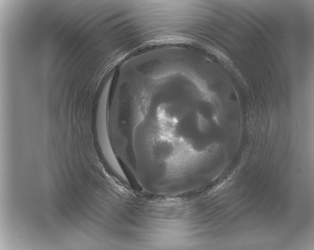 X0000061750833200512161714