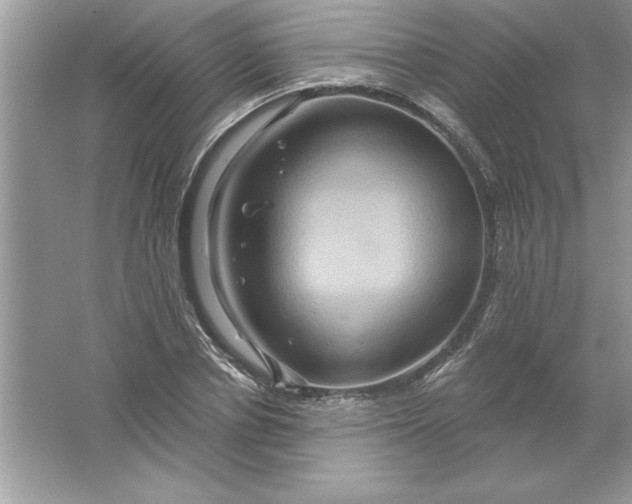 X0000061750834200512161714