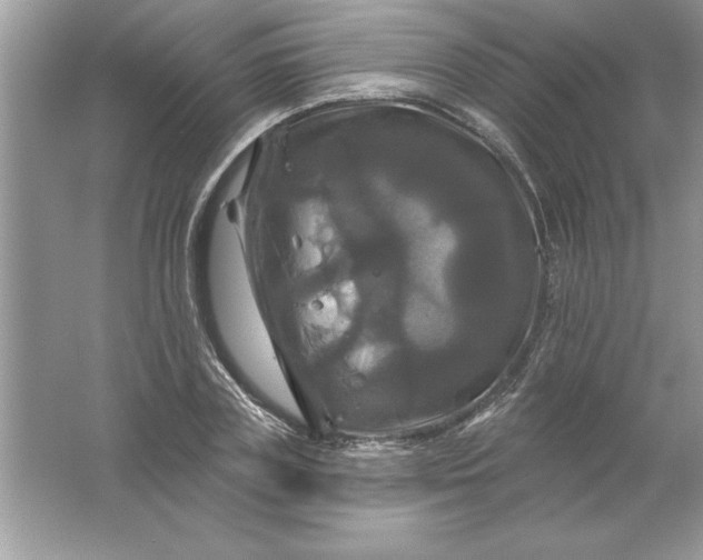 X0000061750835200512161714