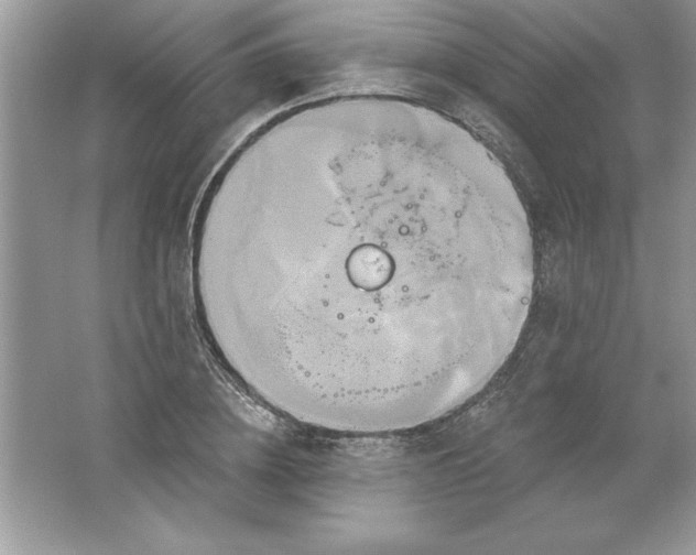 X0000061750836200512161714