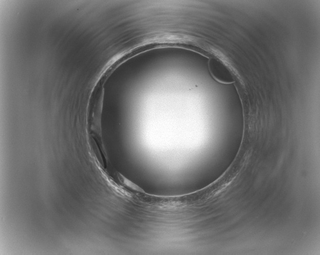 X0000061750837200512161714