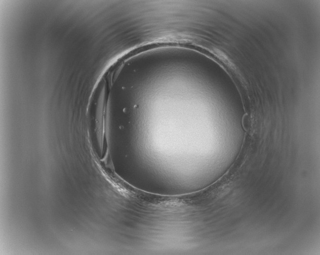 X0000061750838200512161714