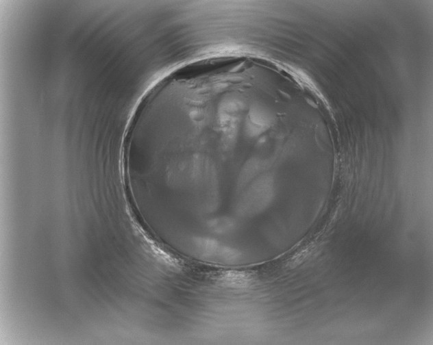 X0000061750839200512161714