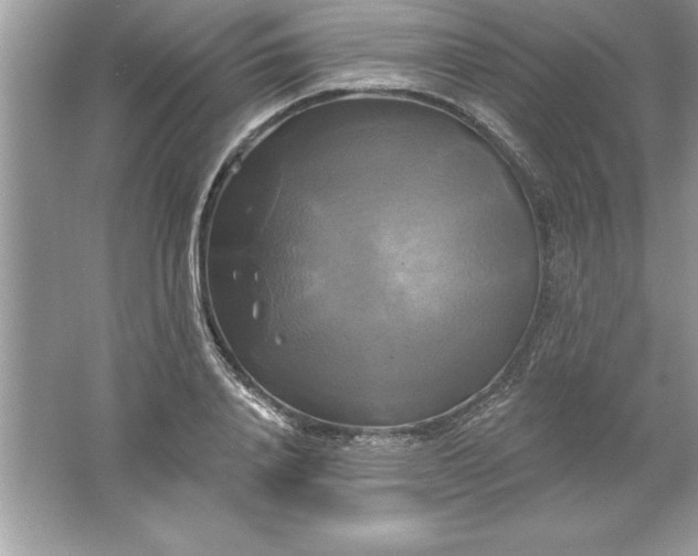 X0000061750840200512161714