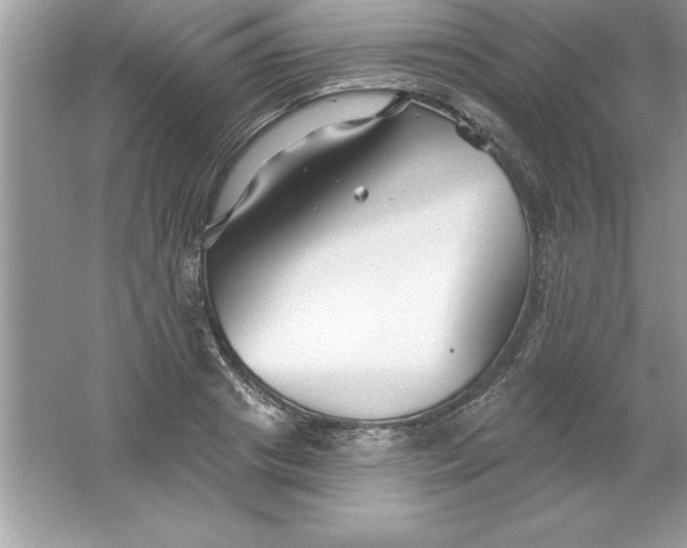 X0000061750841200512161714