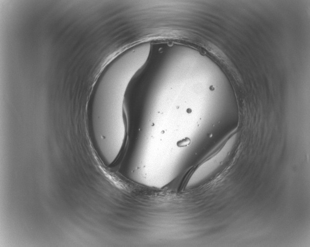 X0000061750842200512161714