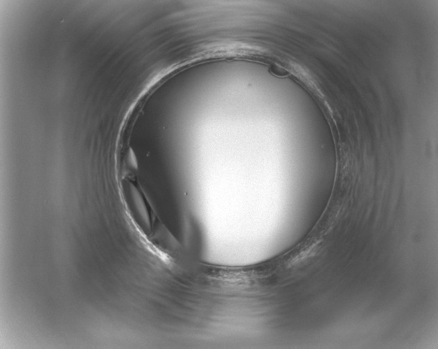 X0000061750843200512161714