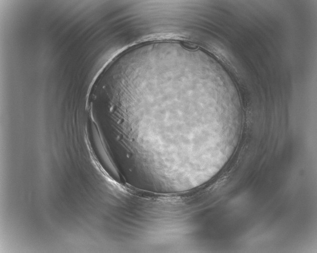 X0000061750844200512161715