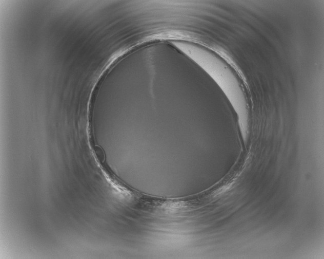 X0000061750845200512161715