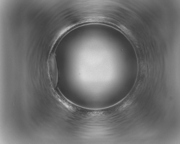 X0000061750846200512161715