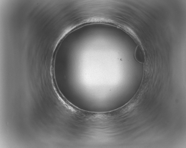 X0000061750847200512161715