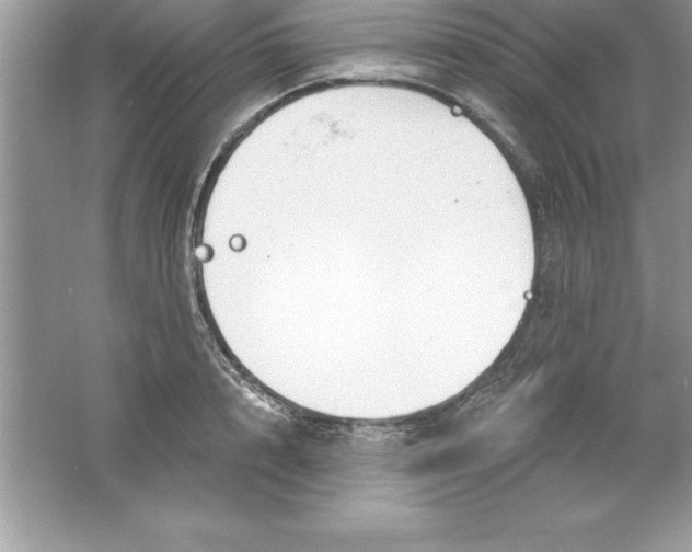 X0000061750848200512161715