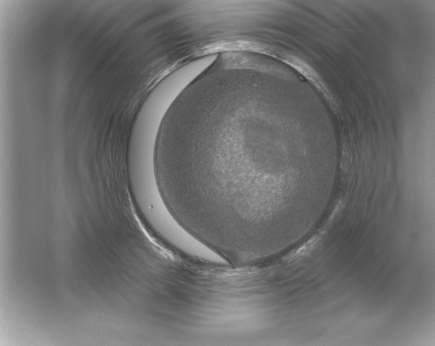 X0000061750849200512161715