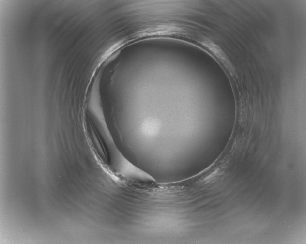 X0000061750850200512161715