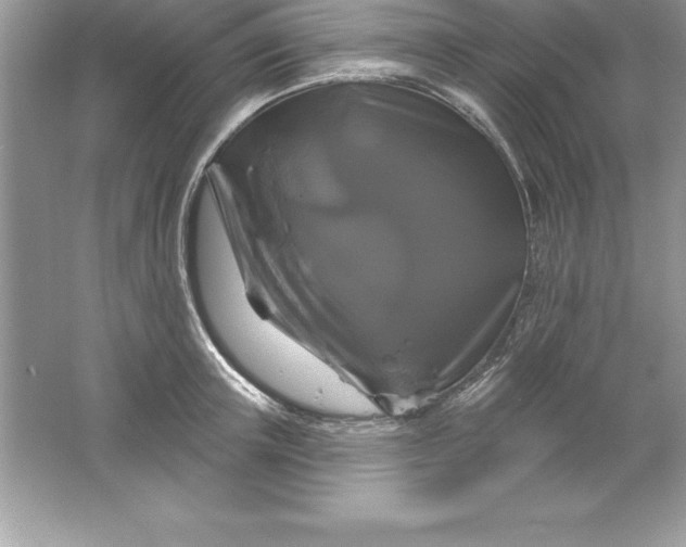 X0000061750851200512161715