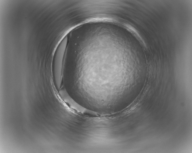 X0000061750852200512161715