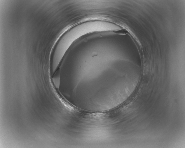 X0000061750853200512161715