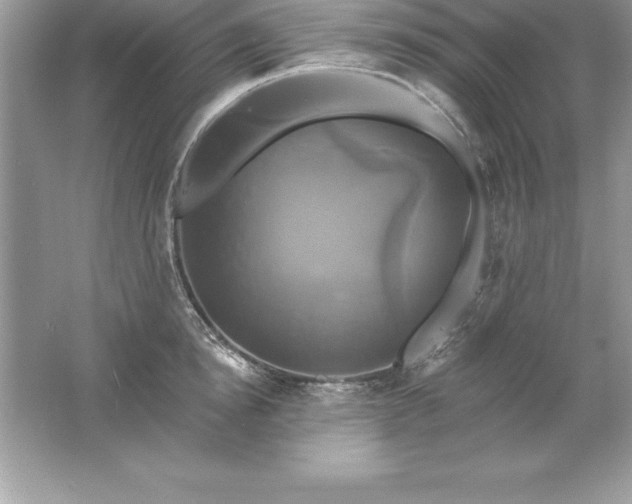 X0000061750854200512161715